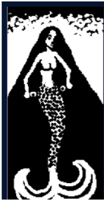 Vertikal Metaverse Team picture form 500K collection