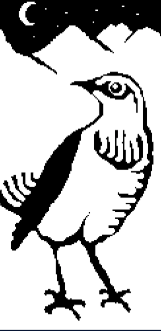 Vertikal Metaverse Team picture form 500K collection